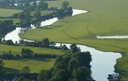 Crucero por el río con el té de la tarde de Oxford