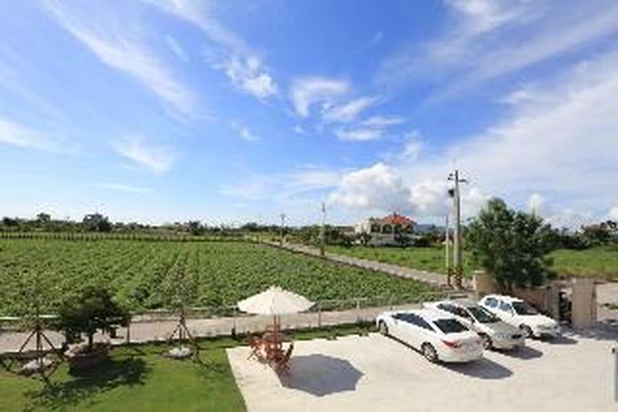 foto-3