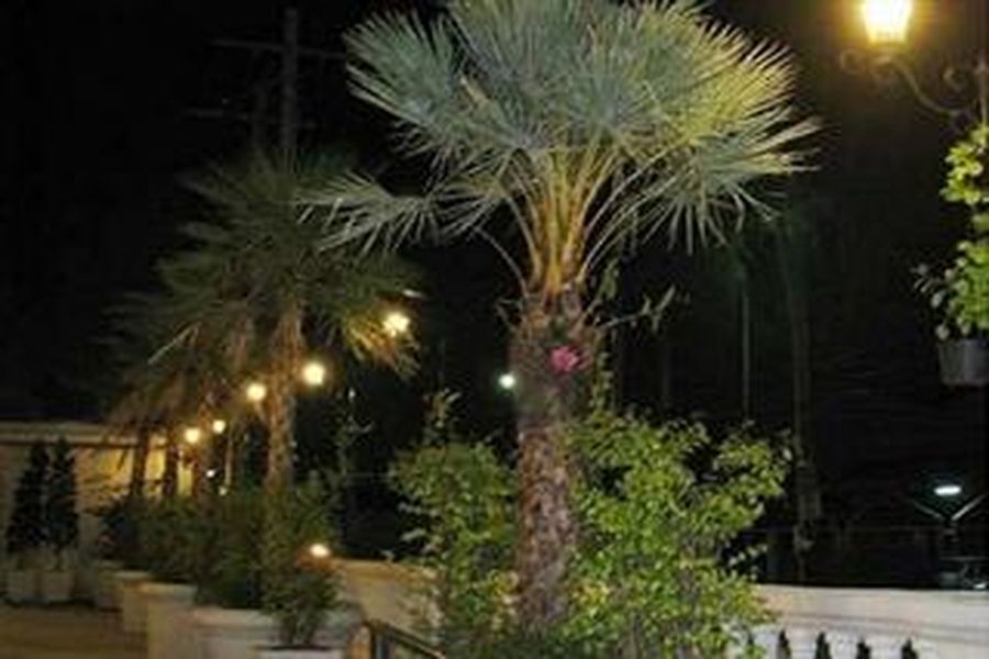 photo-2