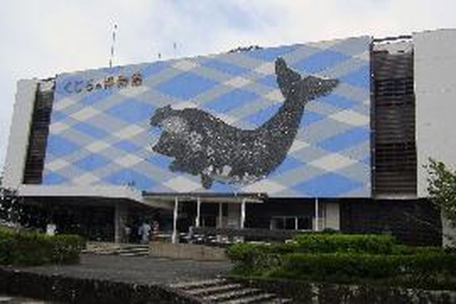 foto-0