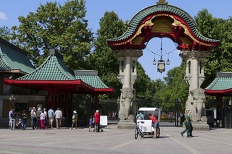 photo-1