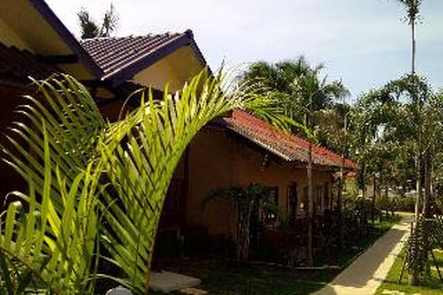 photo-1