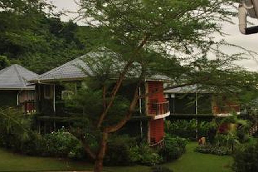 foto-2