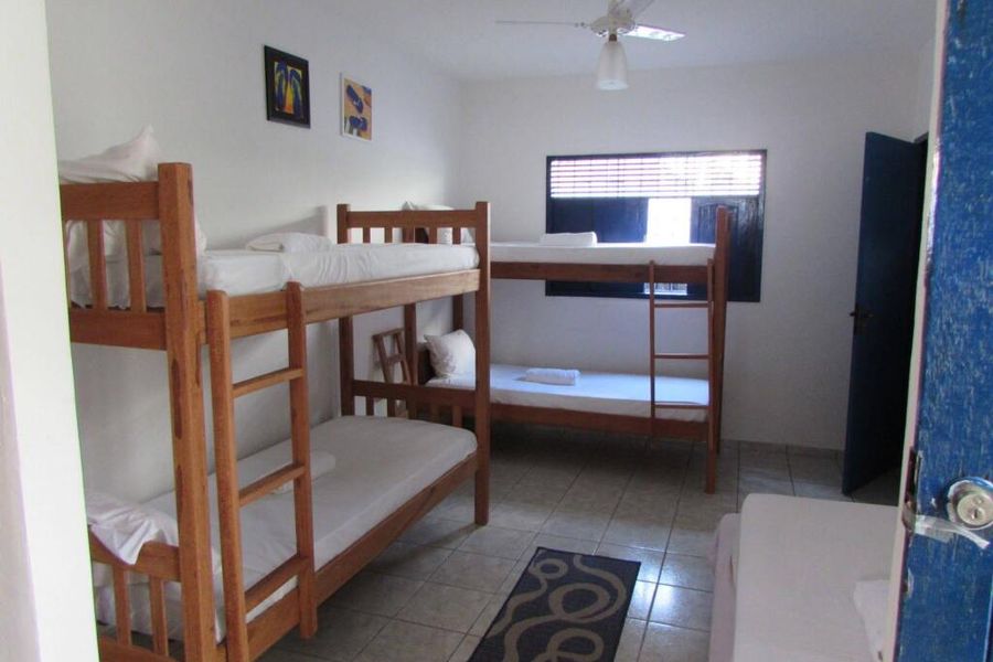 photo-1