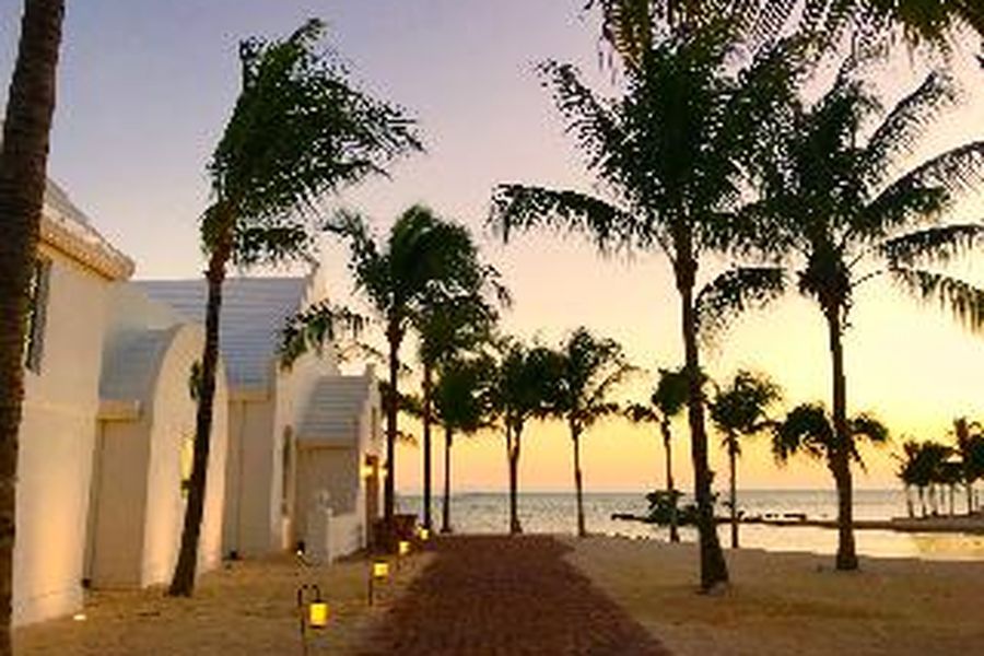 photo-1