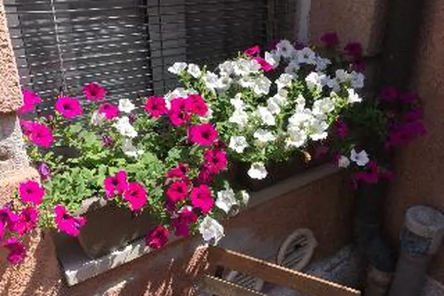 foto-3
