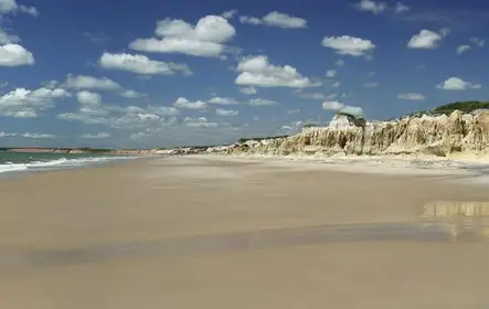 Excursão de dia inteiro na praia de Canoa Quebrada