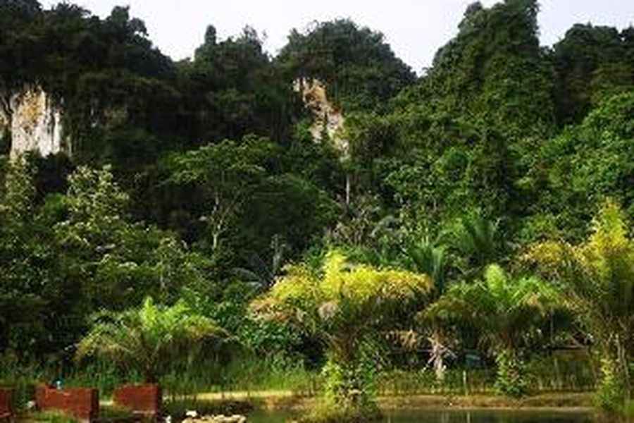 photo-2