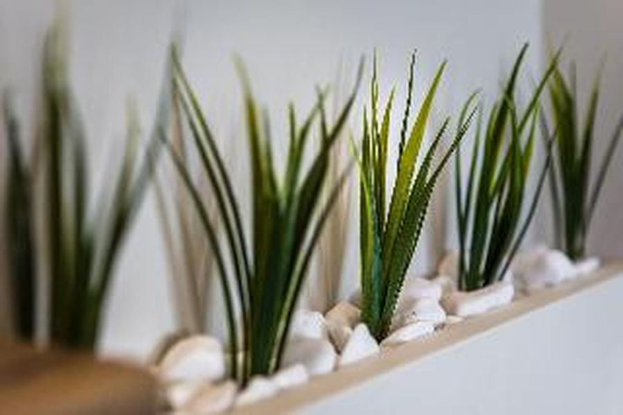 photo-2