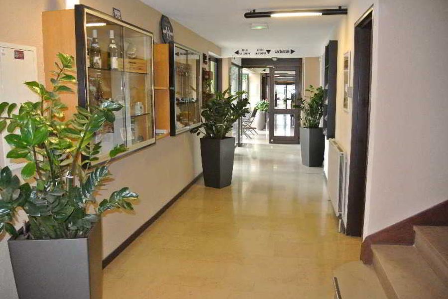photo-2