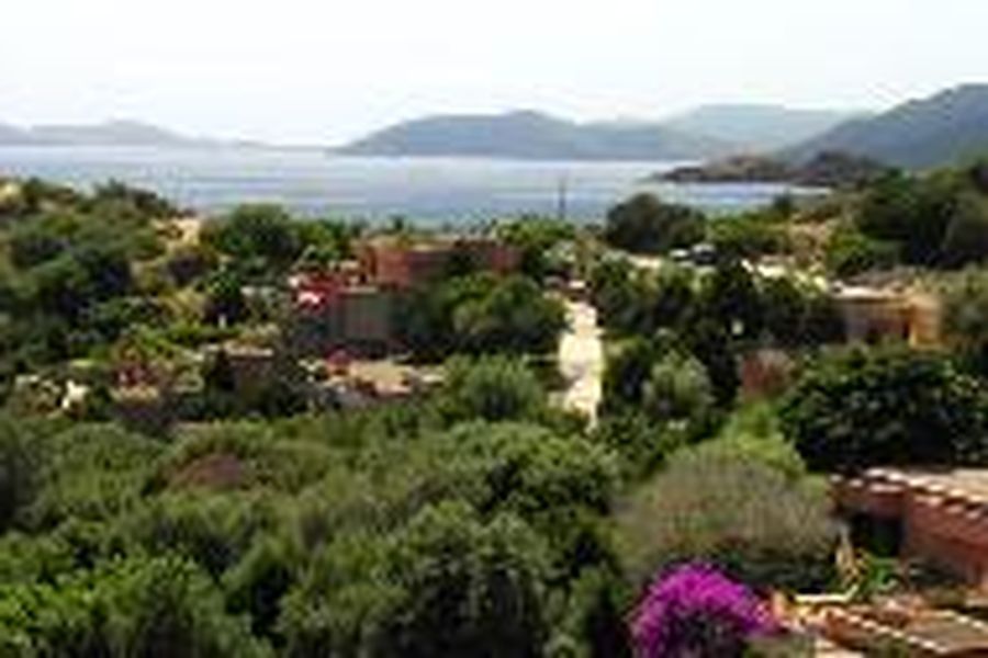 foto-0