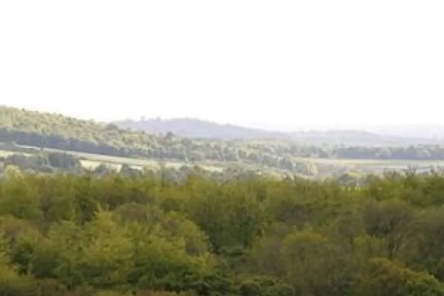 photo-3