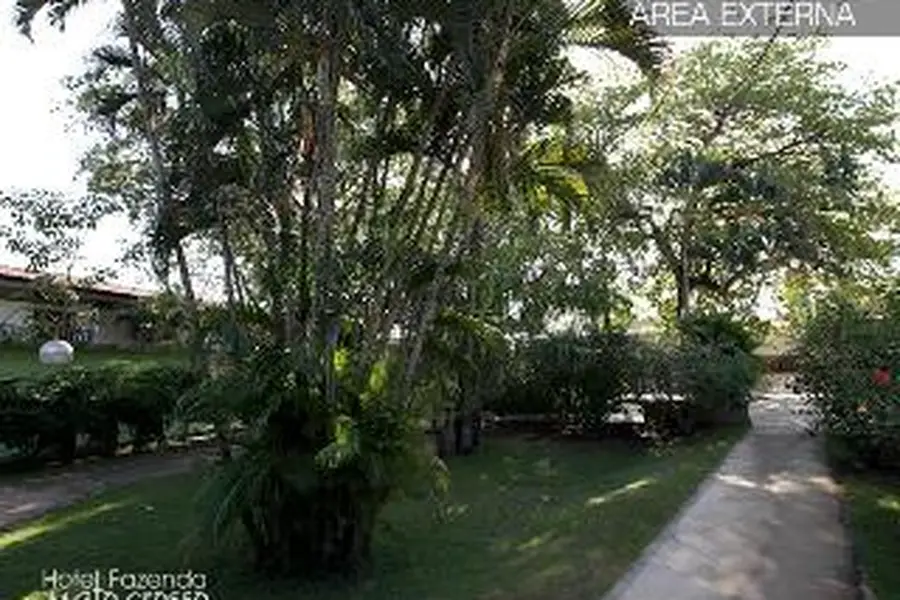 foto-1