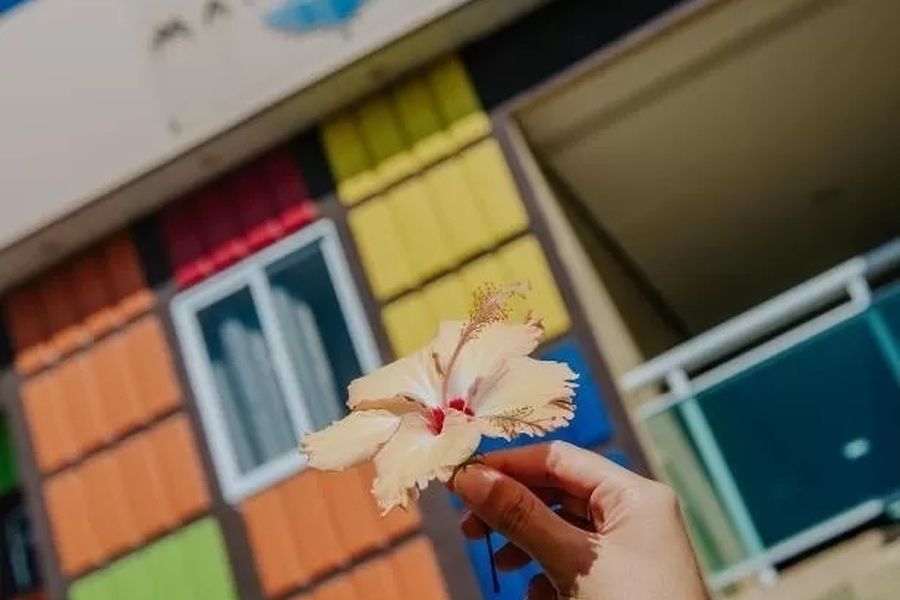 foto-2
