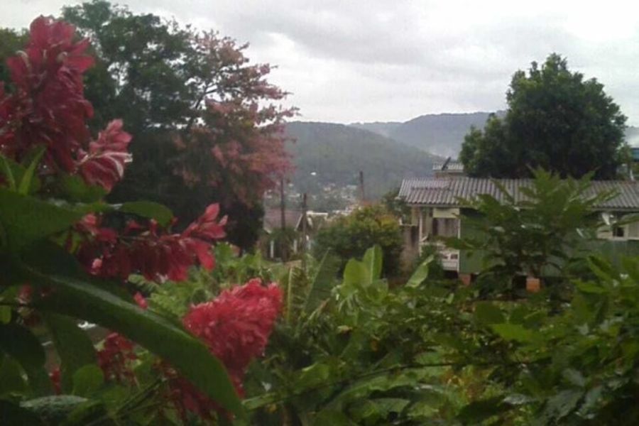 foto-2