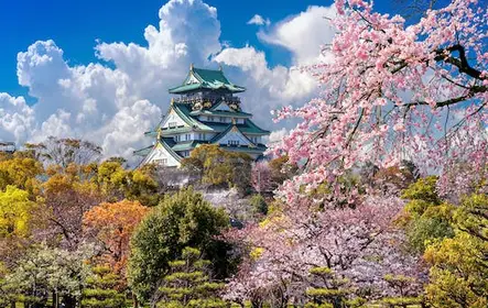 Passeio de bicicleta ao Castelo de Osaka e área do parque
