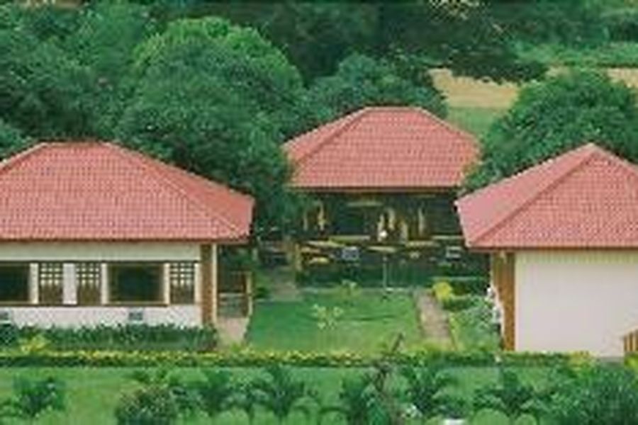 foto-1