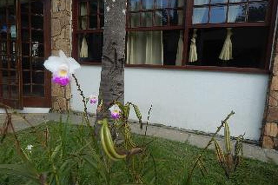 foto-3