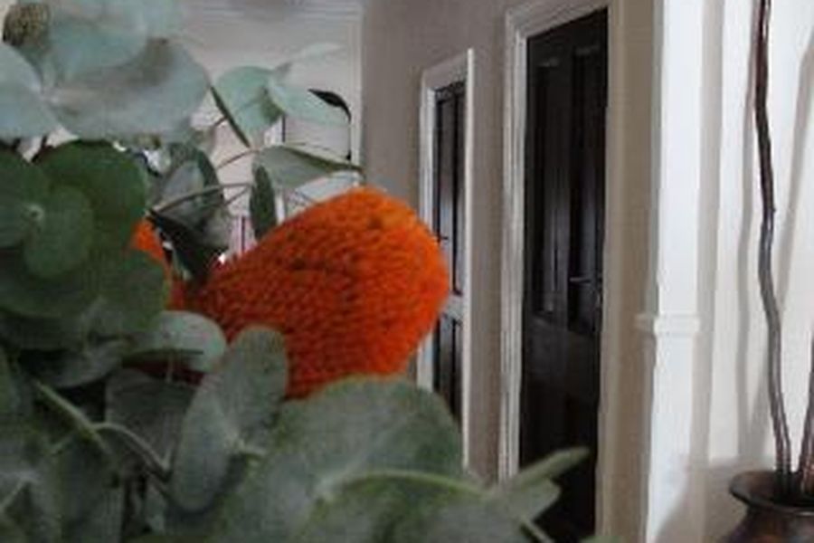 foto-0