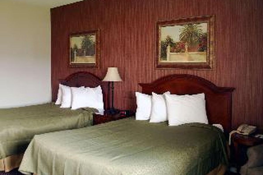 photo-3