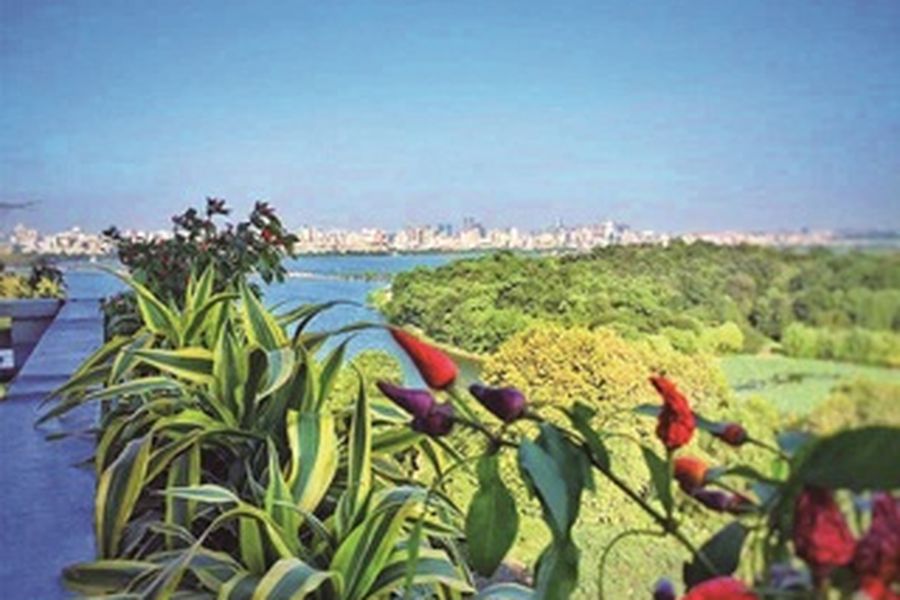 foto-3