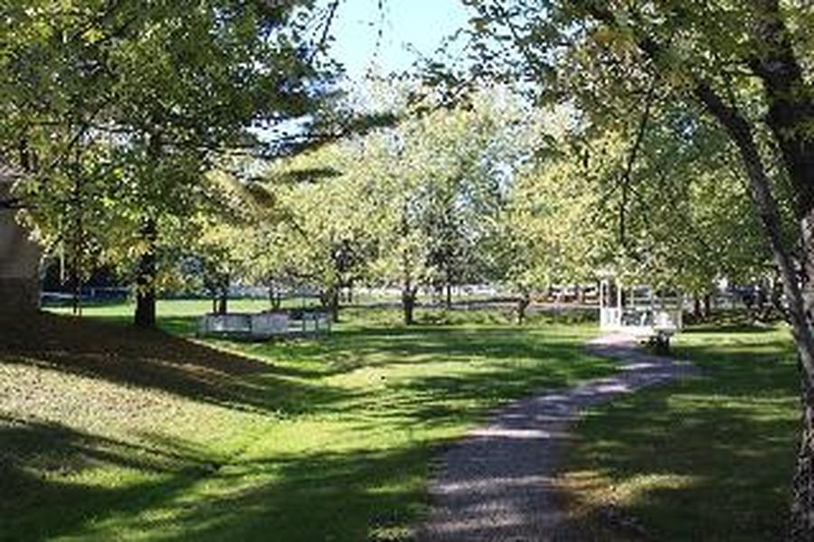 photo-3
