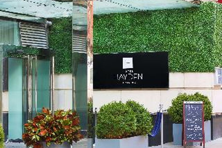 photo-3